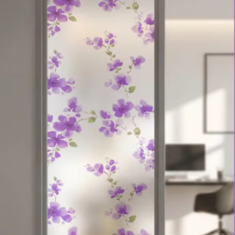 Pellicola Privacy per Finestre - Home Security Film For Windows recensione e prezzo