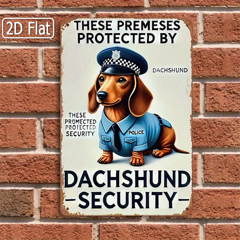 Segnale di sicurezza divertent - Home Security Outdoor recensione e prezzo
