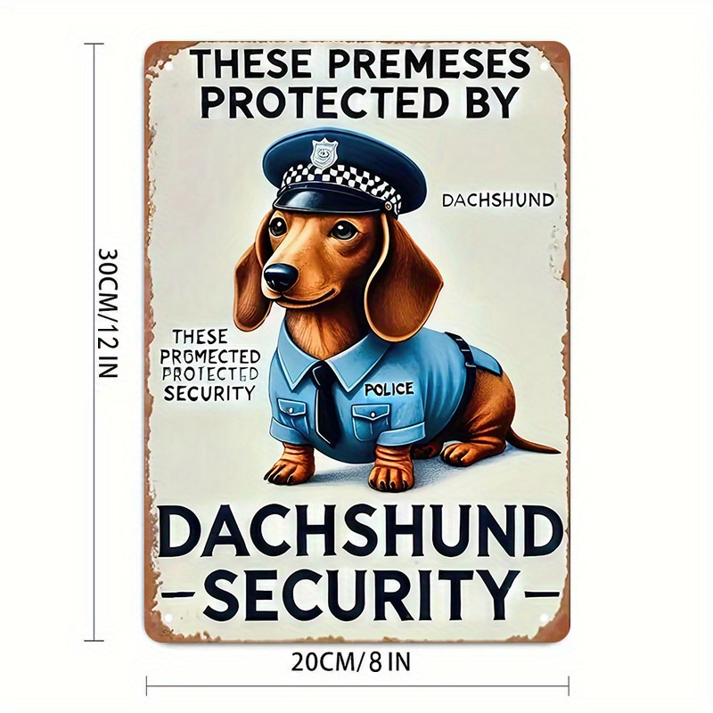Segnale di sicurezza divertent - Home Security Outdoor recensione e prezzo