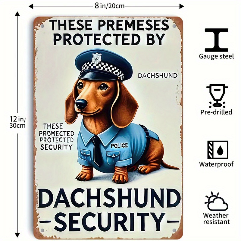 Segnale di sicurezza divertent - Home Security Outdoor recensione e prezzo