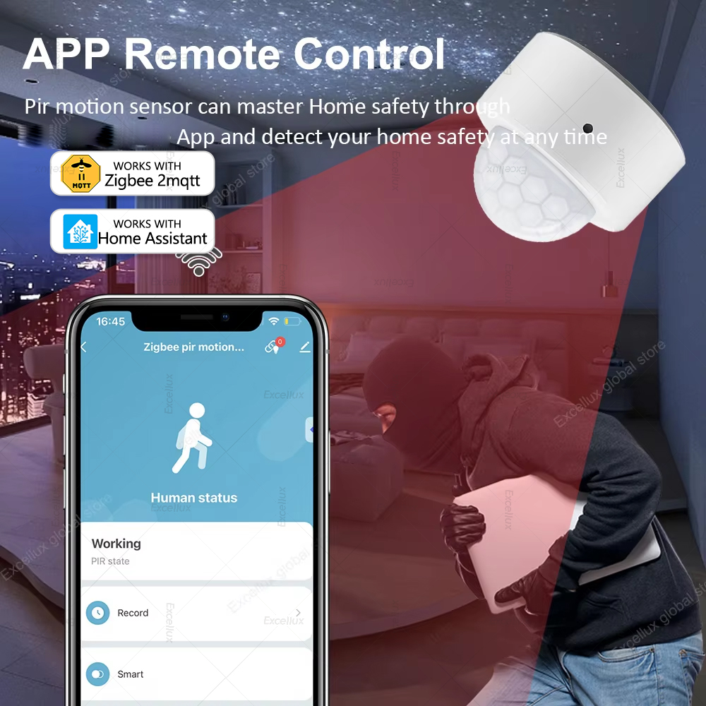 Sensore di movimento PIR ZigBe - Home Security Home Assistant recensione e prezzo