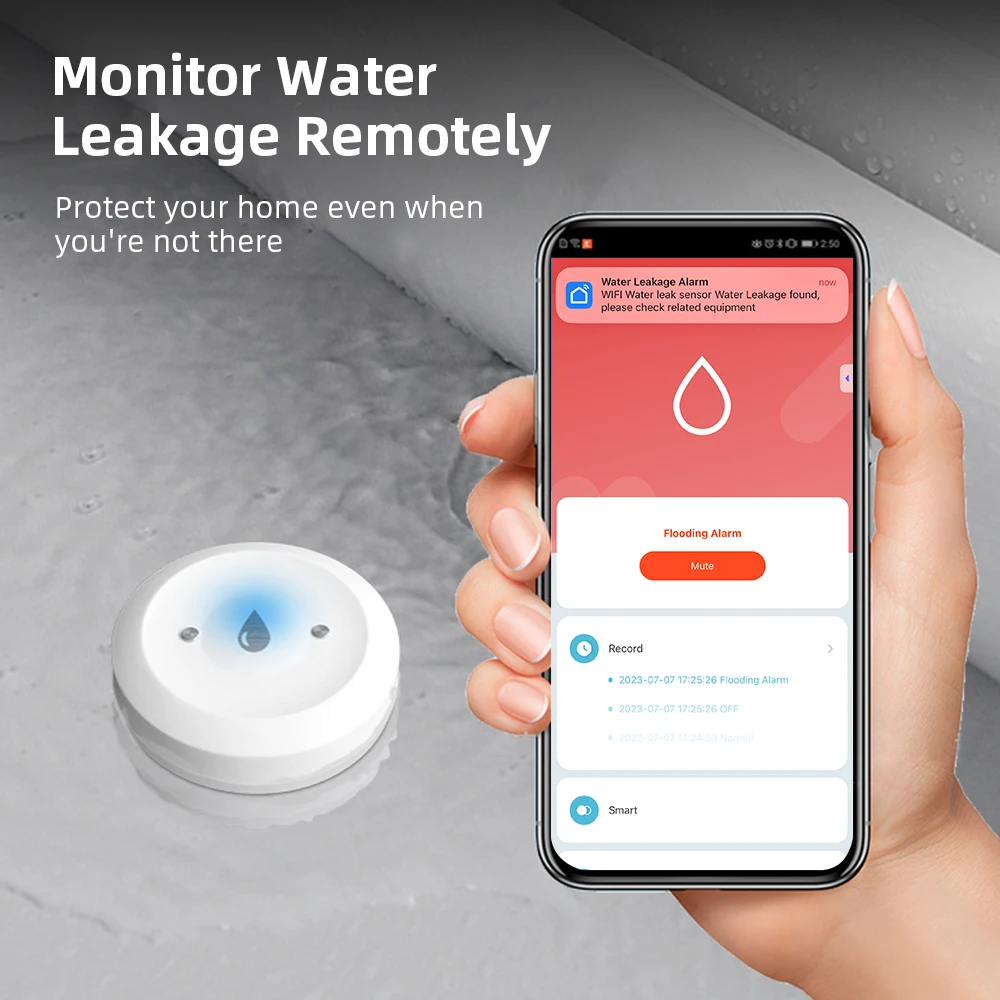 Sensore Intelligente Zigbee3.0 - Home Security Home Assistant recensione e prezzo
