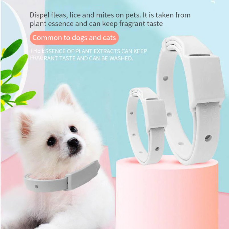Collare anti-pulci per gatti C - Pet Immune Pir Sensor recensione e prezzo