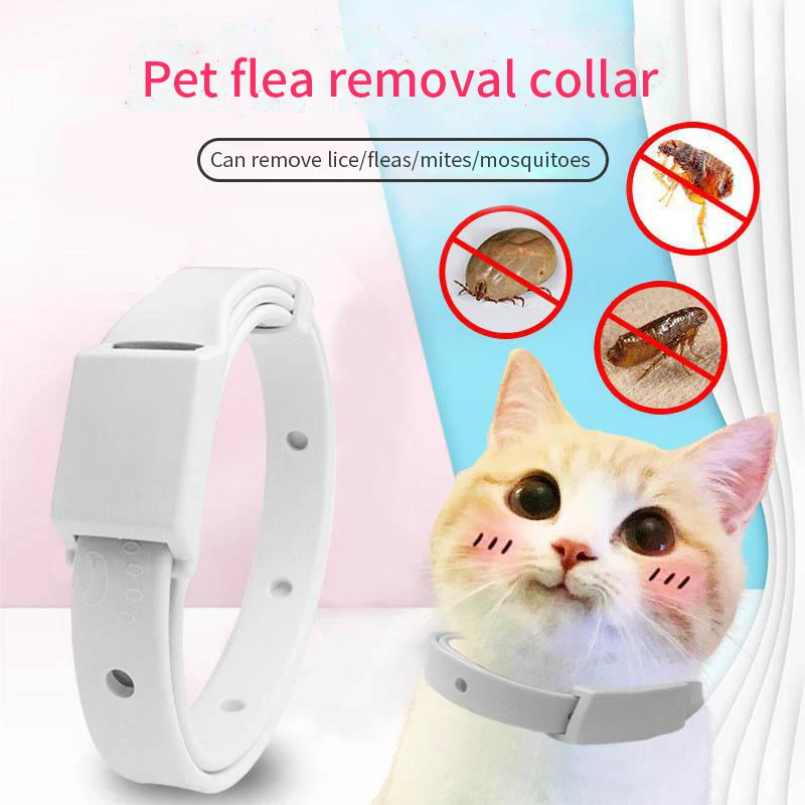 Collare anti-pulci per gatti C - Pet Immune Pir Sensor recensione e prezzo