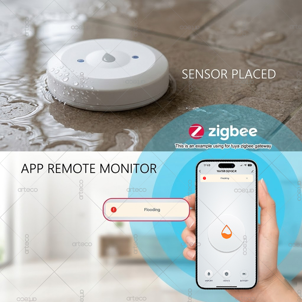 Sensore di perdite d'acqua Zig - Home Security Home Assistant recensione e prezzo