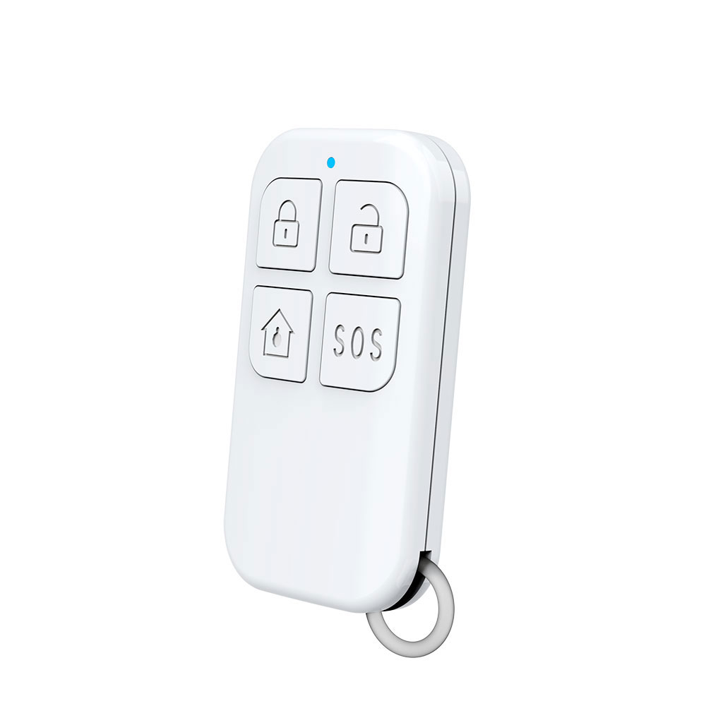 Rilevatore di telecomando wire - Home Security Home Assistant recensione e prezzo