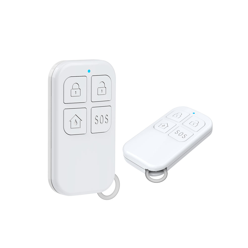 Rilevatore di telecomando wire - Home Security Home Assistant recensione e prezzo