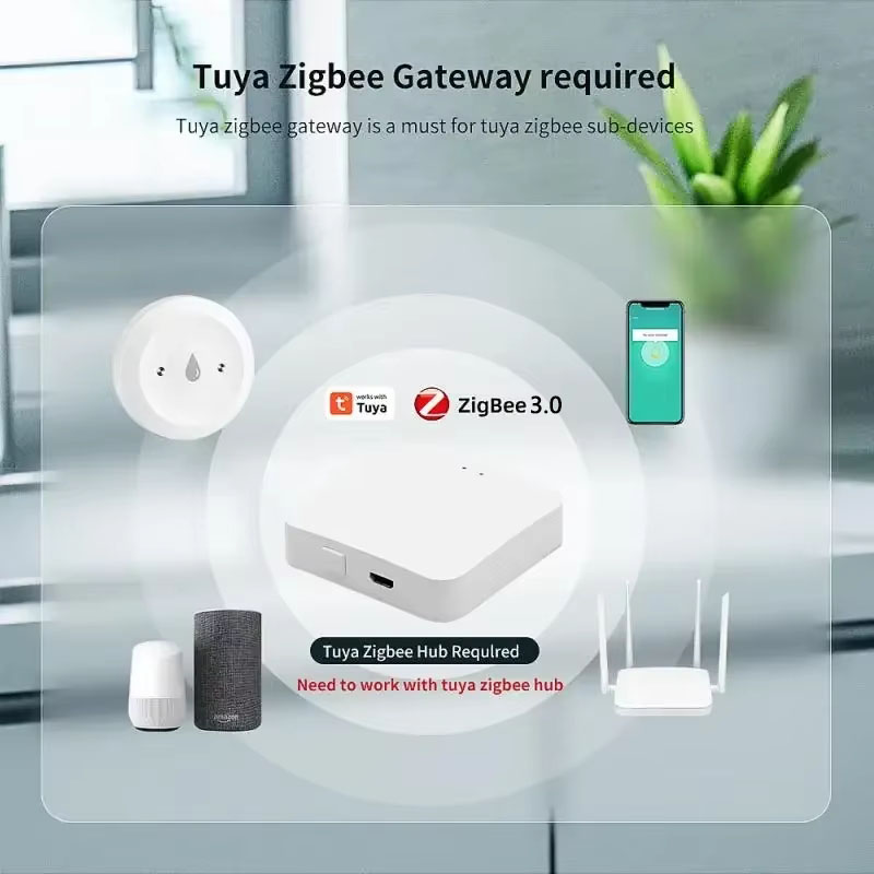 Sensore Intelligente di Perdit - Home Security Home Assistant recensione e prezzo