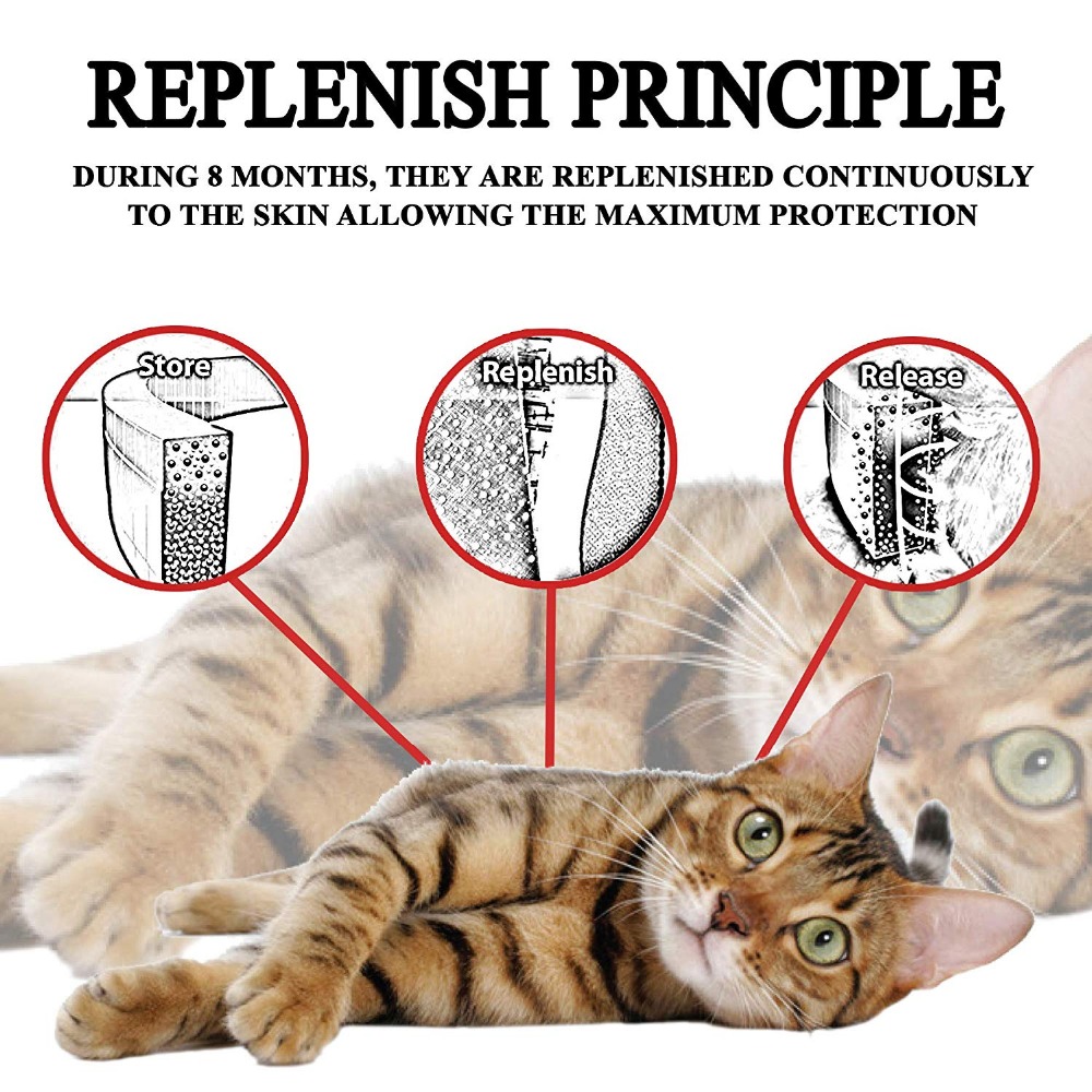 Collare antiparassitario imper - Pet Immune Pir Sensor recensione e prezzo
