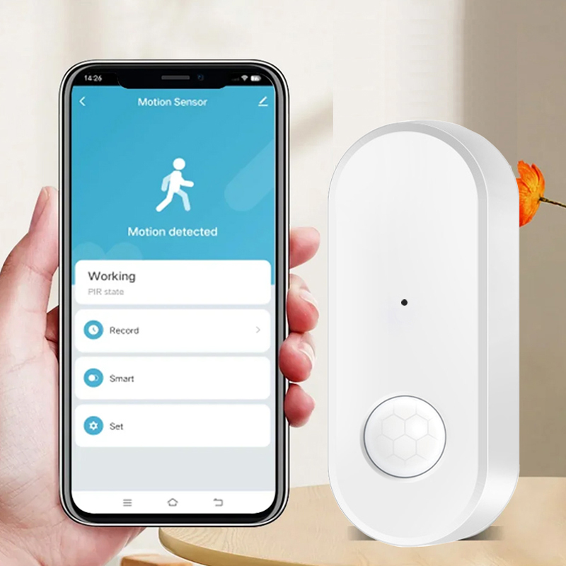 Tuya WiFi PIR Sensore di movim - Pet Immune Pir Sensor recensione e prezzo